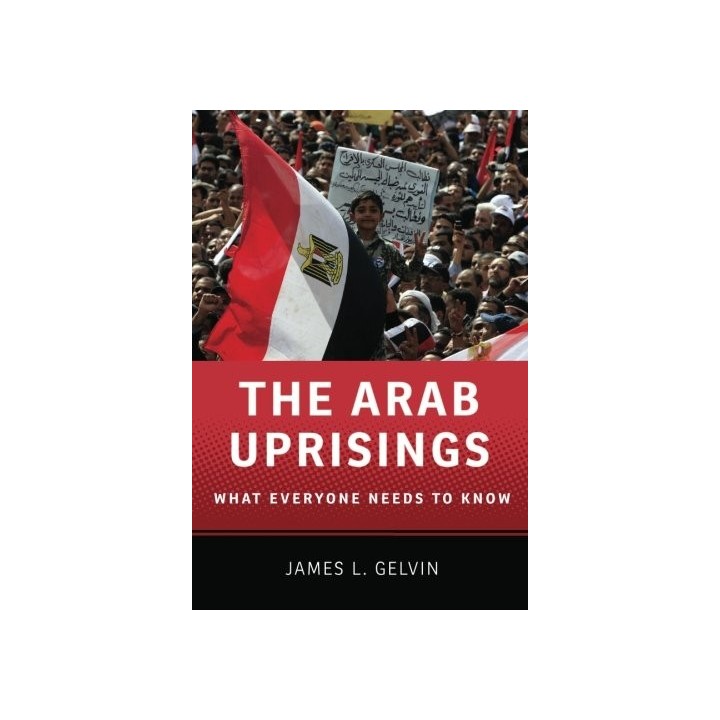 The Arab Uprisings: What Everyone Needs to Know